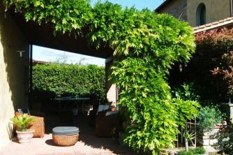 Italian Vertical gardens